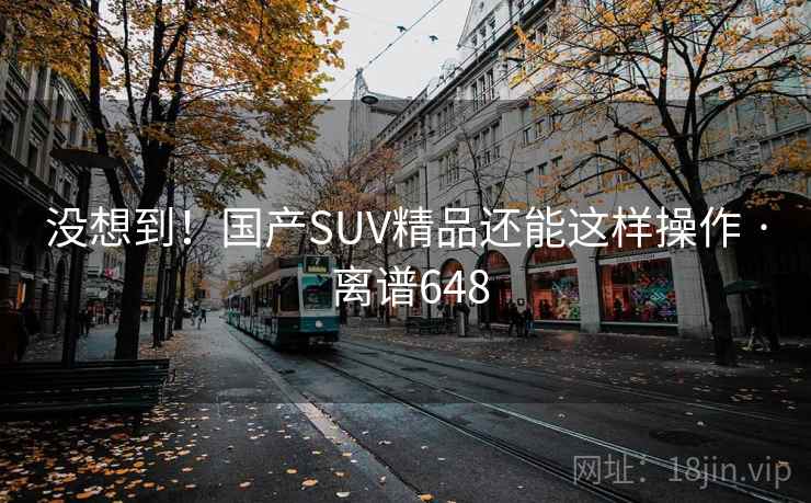 没想到！国产SUV精品还能这样操作 · 离谱648