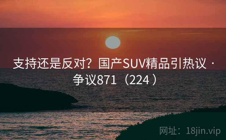 支持还是反对？国产SUV精品引热议 · 争议871（224 ）
